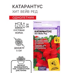 Семена цветов Катарантус "Хит вейв ред", 5 шт