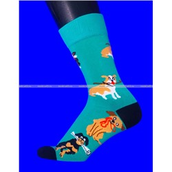 Nice Socks (AMIGOBS) ЦВЕТНЫЕ ВЫСОКИЕ НОСКИ на вешалке арт. 2208