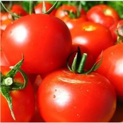5174D Томат Волгоградские зори 5шт
