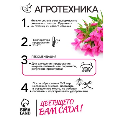 Семена цветов лобелия «Розамунда», 5 шт.