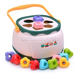 Развивающая игрушка "Сортер-цветочки" в коробке