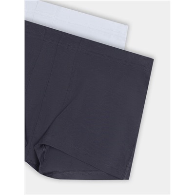 ТРУСЫ МУЖСКИЕ (2ШТ) 411229-2