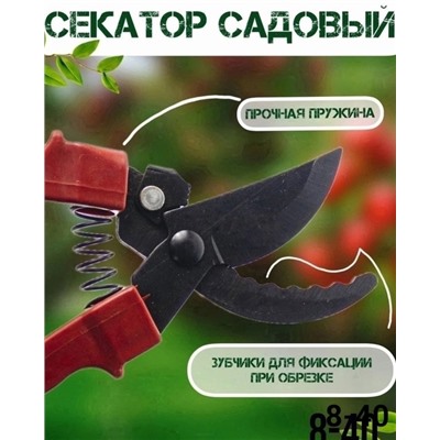 Секатор #22919447