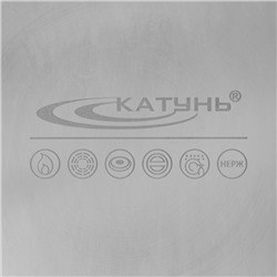 Котёл Катунь «Общепит», 40 л, d=40 см, h=35 см, нержавеющая сталь