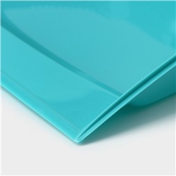 Веник для пола Disco, с совком, 8×19×58 см, бирюзовый