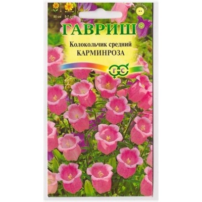 Колокольчик Средний Карминроза (Код: 10462)