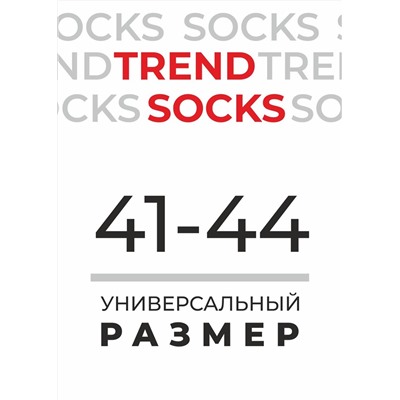 308827 CLEVER Носки