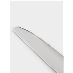 Нож столовый Magistro «Олин», длина 22.7 см, нержавеющая сталь, серебристый