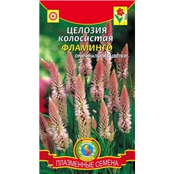 Целлозия Фламинго   (Код: 93710)