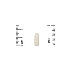 Enzymedica, яблочный уксус с уксусной маткой, 120 капсул