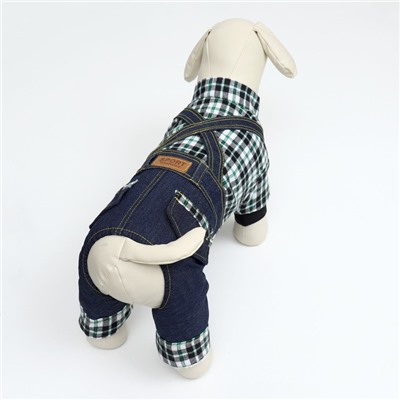 Комбинезон Men, размер XL, ДС 40 см, ОГ 50 см, ОШ 40 см, синий