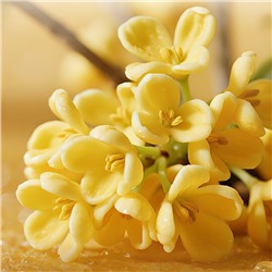 Бальзам для губ с Османтусом и витамином Е Sadoer, 4 гр.