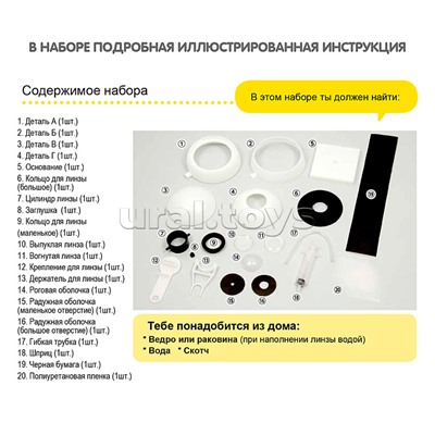 Японские опыты. Науки с Буки. Модель глаза