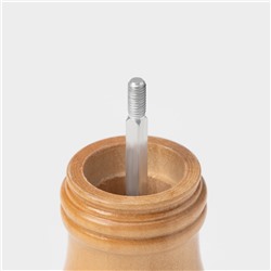 Мельница для специй Доляна «Дуновение леса», 10.5×4.5 см, керамический механизм, бежевая