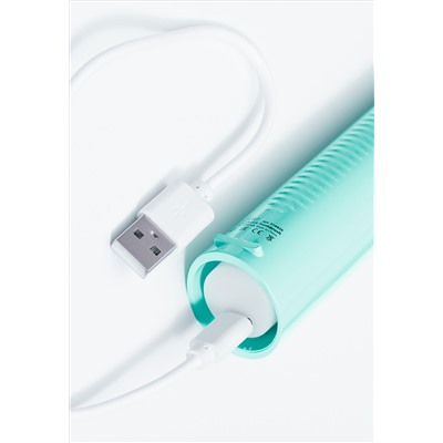 Звуковая электрическая зубная щетка Expert