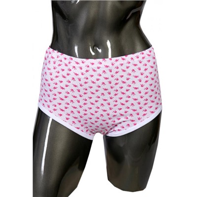 Трусы 1732 (Ассорти)