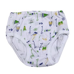 14073 Трусы (кулирка)