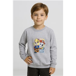 Свитшот для мальчика ROC27