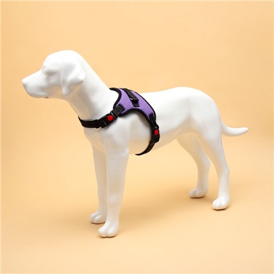 Шлейка К7 мягкая светоотражающая, размер L, ОГ 64-86 см, вес 18- 27.5 кг, фиолетовая