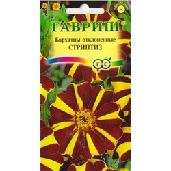 Бархатцы Стриптиз (Код: 9270)