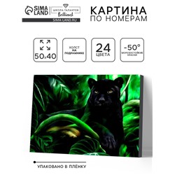 Картина по номерам на холсте с подрамником «Пантера», 40×50 см