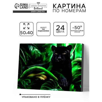 Картина по номерам на холсте с подрамником «Пантера», 40×50 см
