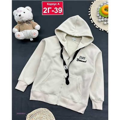 кофта с начесом 2055008-4