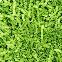 Наполнитель бумажный для подарков, зеленая липа, 50 г