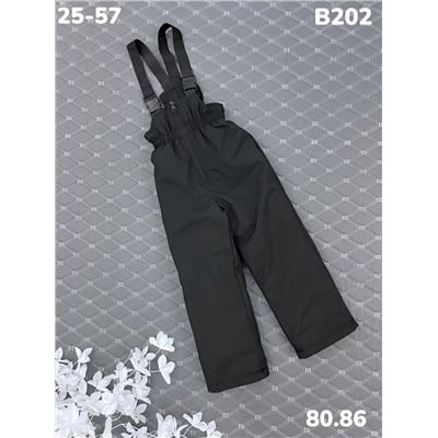 Брюки B202 чёрный
