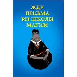 Эксмо "Жду письма из школы магии (блокнот в мягкой обложке линейку)"