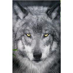 Полотенце Акела НАТАЛИ, 978953