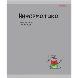 Тетрадь 48л "MINI FRIENDS" по информатике 48-2509 Проф-Пресс