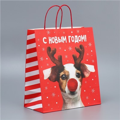 Пакет подарочный новогодний крафтовый «С Новым годом», 28×32×15 см