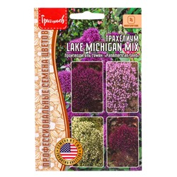 Семена цветов Трахелиум Lake Michigan Mix 4 м.др.  12.29 г.