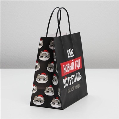 Пакет подарочный новогодний «Так тебе и надо», 22×22×11 см