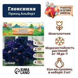 Глоксиния "Принц Альберт", р-р 5/6, 2 шт Весна 2025