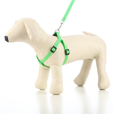 Шлейка с поводком «Базис», 32-46×1.5 см, поводок 120×1.5 см, зелёная