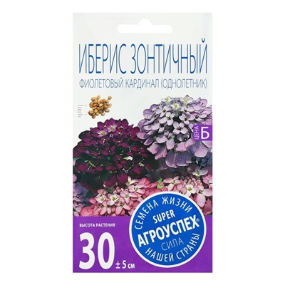 Семена цветов Иберис "Фиолетовый кардинал", 0,2г