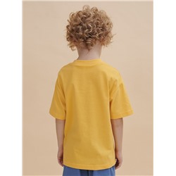 BFT3352/4U (Футболка для мальчика, Pelican )