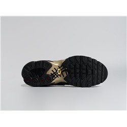 Кроссовки Nike Air Max Plus TN