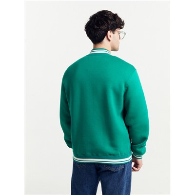 ТОЛСТОВКА МУЖСКАЯ 121173/1