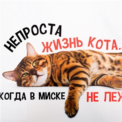 Коврик под миску «Не проста жизнь кота», 43×28 см
