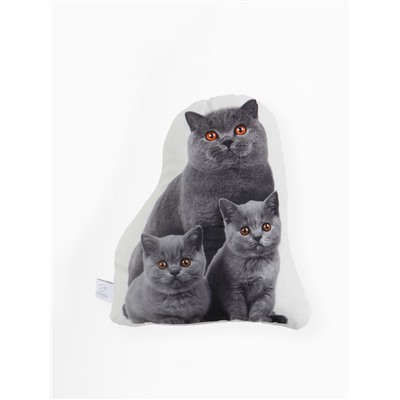 Подушка «Этель» Cat family, 40×33 см, велюр