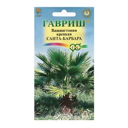 Семена комнатных цветов Вашингтония "Санта-Барбара", ц/п,  3 шт.