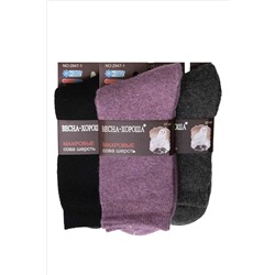 2947 (Носки женские, ВЕСНА-ХОРОША )