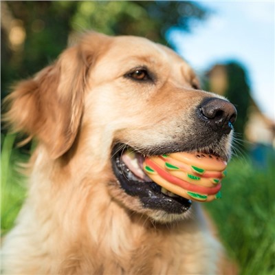 Игрушка для собак «Гамбургер с салатом», 9.5 см, пищащая, винил