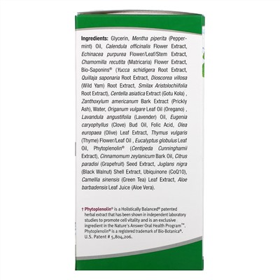 Nature's Answer, PerioBrite Cleanse, концентрат для полоскания рта, мята, 120 мл (4 жидкие унции)