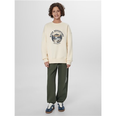 СВИТШОТ ДЛЯ МАЛЬЧИКОВ 123487