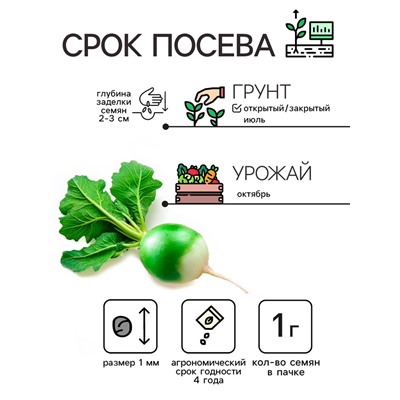 Семена Редька "Маргеланская", 1 г