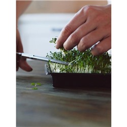 Набор для выращивания микрозелени Vegebox, 5 лотков, подсолнечник